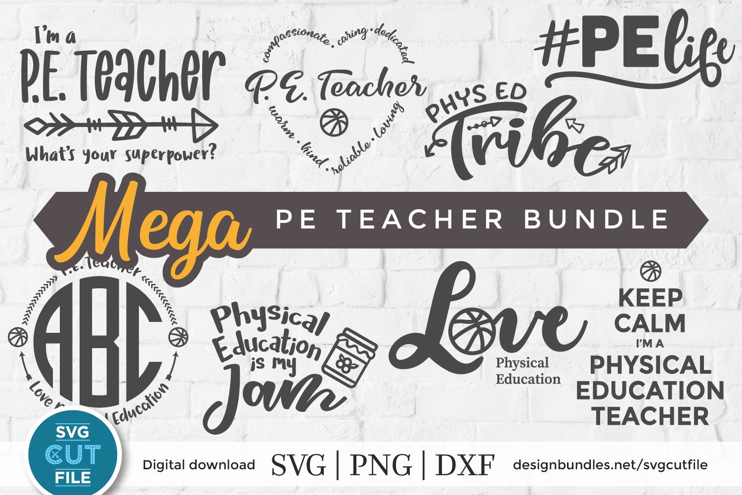 PE Teacher svg bundle - physical education teacher svg files