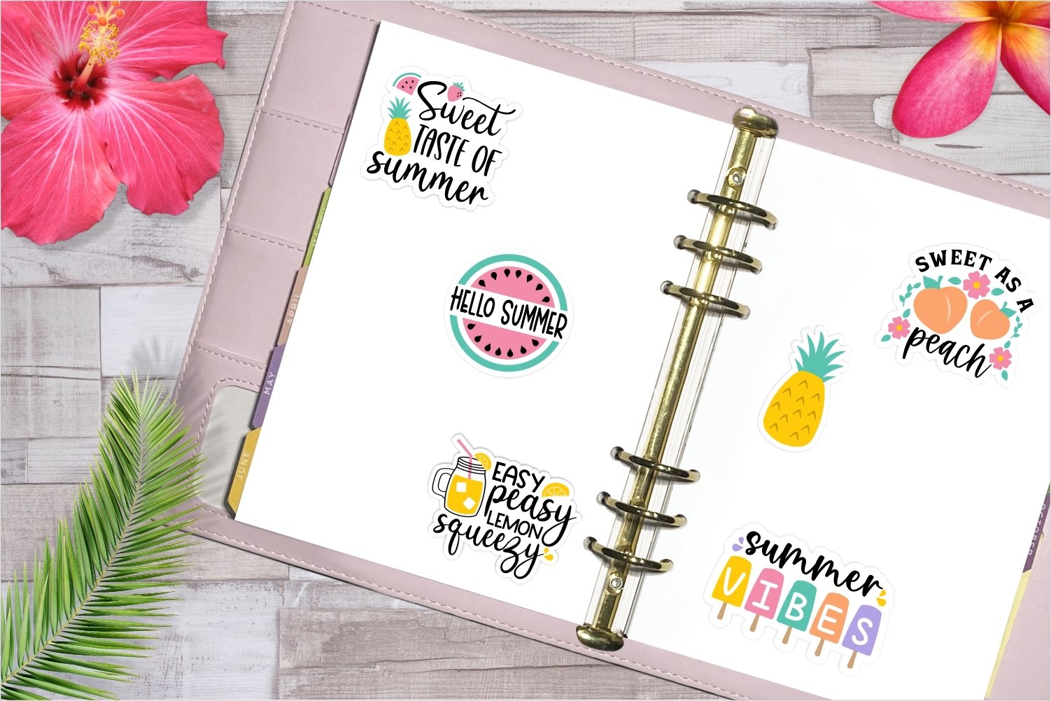 Summer Sweets sticker bundle | Tropical fruit stickers 3